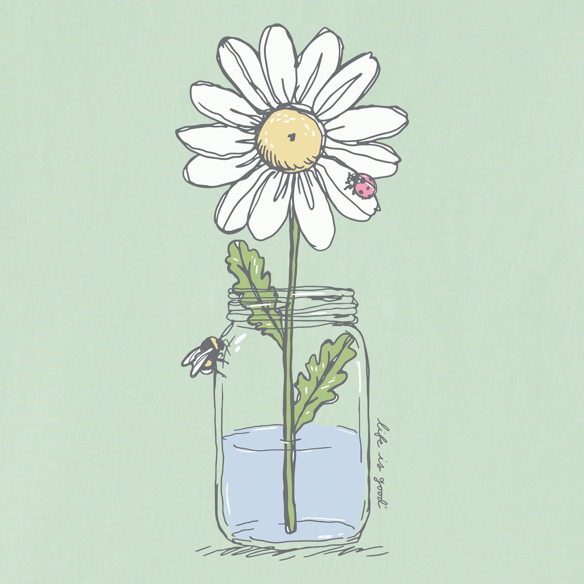 Women's Daisy Jar Short Sleeve Tee